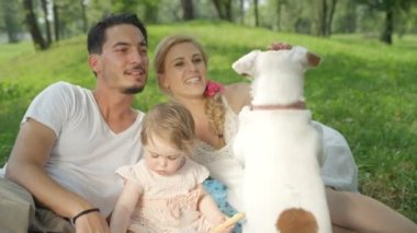 Ağır çekim Dof yakından: baba ve battaniye var yalan, şirin Jack Russell için yapan köpek muamele etmek veren tatlı bebek kız gülümseyen güzel anne. Piknik park güneşli günde pastoral genç Aile
