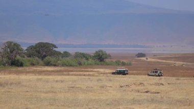 Close Up: Pitoresk kurak savana turistik oyun sürücü Safari jeeps. Ngorongoro koruma alanı yaban hayatı rezerv yeşil Adansonia baobab ağaçları ormanlık vaha ile Düz otlak alanı