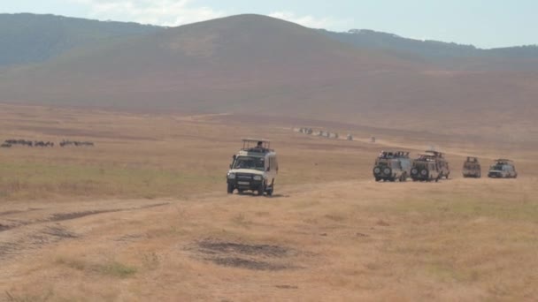 Ngorongoro Tanzânia Junho 2016 Excursões Safári Lotadas Através Assoalho Cratera — Vídeo de Stock