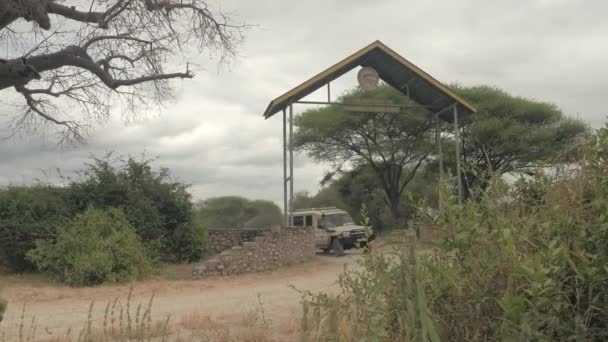 坦桑尼亚塔兰吉尔 2016年6月10日 野生动物园吉普车驾驶快乐游客通过野生动物园入口大门 并在令人惊叹的野生动物塔兰吉尔国家公园进行惊人的游戏驱动之旅 — 图库视频影像