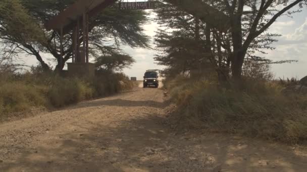 坦桑尼亚塞伦盖蒂 所有地形狩猎吉普车满载游客离开塞伦盖蒂国家公园大门 结束私人游戏驱动旅游 — 图库视频影像