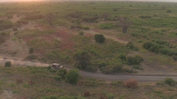 在狩猎吉普车上方飞行 留下尘土飞扬的小路 游戏驾驶游客穿越非洲草原大草原的广阔干旱的田野 在荒野中令人叹为观止的阳光明媚的早晨欣赏壮观的景色 — 图库视频影像