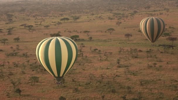 Antenne Safari Heißluftballon Fliegt Über Endlose Savannenebenen Die Die Ferne — Stockvideo