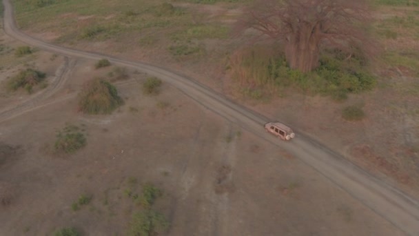 在狩猎吉普车上方飞行 留下尘土飞扬的云 游戏驱使游客穿越非洲草原大草原的广阔干旱农田 在荒野中令人叹为观止的阳光明媚的早晨欣赏壮观的景色 — 图库视频影像