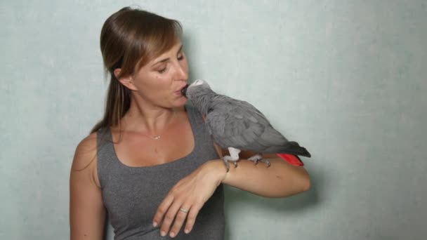 Movimiento Lento Cerrar Travieso Lindo Loro Gris Africano Sentado Mano — Vídeo de stock