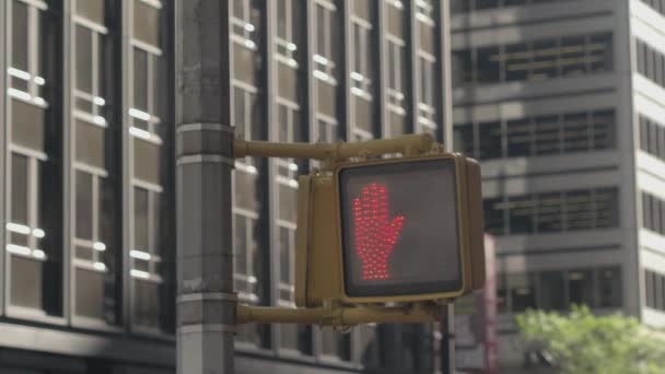 Close Detail Pedestrian Crossing Lights New York City Turning Red — Stock Video