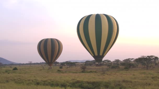 Antenowe Zbliżenie Piloci Kierownicy Safari Gorące Powietrze Balony Przez Rosnącej — Wideo stockowe