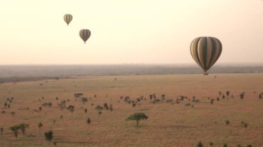 Anteni: sıcak hava balon safari uzak savana plains içinde şaşırtıcı Afrika ekilmemiş boş arazi üzerinde yüzen turistler. Vahşi zebralar altın hafif puslu sabah çarpıcı, yerdeki grubunda toplama