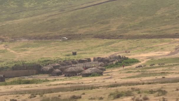 Safari Jeep Spel Rijden Van Toeristen Versnellen Stoffige Weg Maasai — Stockvideo