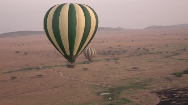 Antena Safari Balonem Malejąco Zbliżenie Spalone Savanna Użytki Zielone Pole — Wideo stockowe