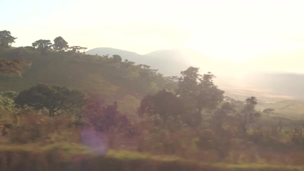 クローズ アップ ンゴロンゴロ ハイランド山地林で覆われ セレンゲティで国境を昇順ほこりっぽい道の運転 晴れた日に火山縁と山に囲まれた美しい渓谷 — ストック動画