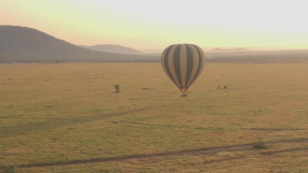 野生动物园热气球充满了游客在地面上空飞驰而过 神奇的非洲风景 热带草原短草地和杂草丛生的山脉在遥远的惊人的金色的早晨 — 图库视频影像