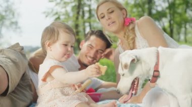 Ağır çekim, Close Up, Dof: kaliteli vakit parkta piknik mükemmel genç bir aile. Bisküvi yeme ve pay onları ile belgili tanımlık köpek gülümseyen bebek kız. Güzel anne ve neşeli baba izliyor