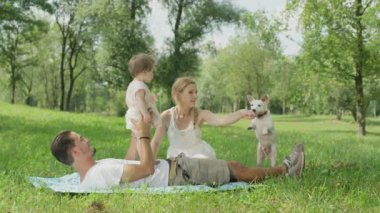 Ağır çekim Dof yakından: Oldukça genç eş ve bebek kızıyla birlikte üzerinde park battaniyeye oturmuş ve onu bir sopayla alay Jack Russell köpekle oynayan kadın. Kalite aile zaman doğada