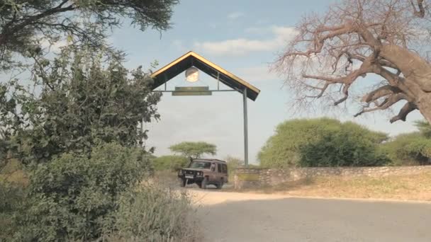 タランギレ タンザニア 2016 公園従業員空サファリ ジープを運転し タランギーレ国立公園の野生動物を残して客や面白いゲーム ドライブのための旅行者の新しいグループをピックアップして — ストック動画