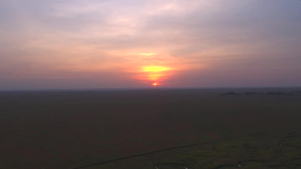 Luchtfoto Vliegen Spectaculaire Boomloze Serengeti Vlakte Landschap Rollen Verte Eindeloze — Stockvideo