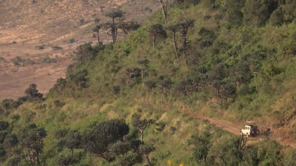 クローズ アップ サファリ ジープ ゲーム ドライブ ンゴロンゴロ火山のカルデラ 野生生物保護区の観光客でいっぱい ユーフォルビア物性樹木の生い茂った急な火山火口壁 — ストック動画