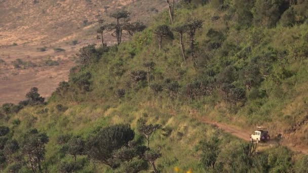 Aerial Fechar Safari Jipes Cheios Turistas Viagem Carro Jogo Para — Vídeo de Stock