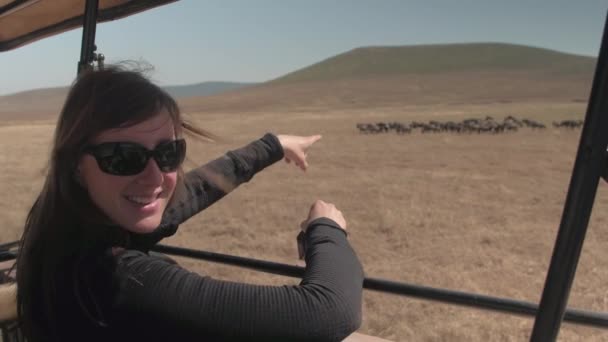 사파리 드라이브를 손가락으로 가리키는 Pasturing Ngorongoro 분화구 놀라운 아프리카 사바나에 — 비디오