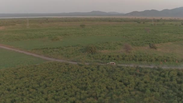 Antenn Flyger Över Safari Jeep Lämnar Dammigt Moln Bakom Spelet — Stockvideo