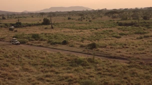 Aerial Safari Jeep Game Driving Polsty Road Lush Savannah Grassland — Vídeos de Stock