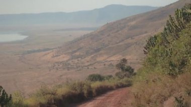 Hava yakın: büyümüş yemyeşil orman bitki örtüsü uçan, büyük kaktüsler ve kurak bushland otlak savannah tozlu çevreleyen dik nefes kesen Ngorongoro koruma alanına inen yol