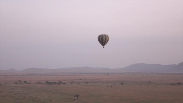 Antenna Safari Hőlégballon Gördülő Távolba Serengeti Nemzeti Park Lila Fény — Stock videók