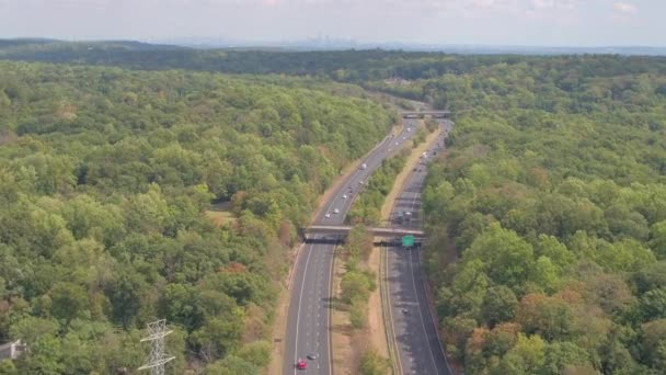 Luftaufnahme Mehrspurige Autobahn Richtung New York City Skyline Horizont Sattelschlepper — Stockvideo
