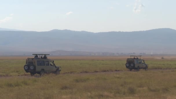 Ngorongoro Tanzanie Červen 2016 Přeplněné Safari Zájezdy Herní Disk Přes — Stock video