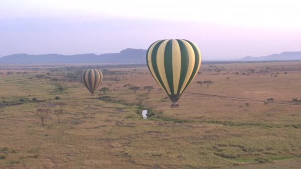 Luchtfoto Safari Luchtballon Vliegen Boven Eindeloze Savannah Vlakten Rollen Verte — Stockvideo