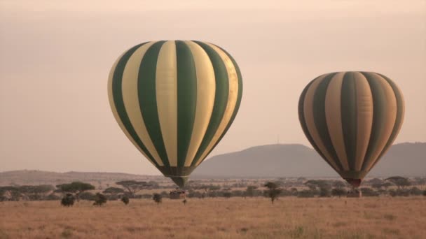 Aerial Fechar Pilotos Dirigindo Balões Quente Safari Cheio Turistas Excitados — Vídeo de Stock