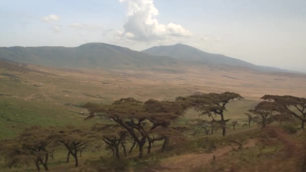 Safari 游戏驾驶过去迷人的小 Massai 游牧土著部落村与传统的圆形房屋建造从泥 树枝和草与美丽的杂草丛生的山脉背景 — 图库视频影像