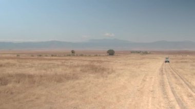 Ngorongoro, Tanzanya - 10 Haziran 2016: turist safari cip oyunu güzel Ngorongoro volkanik caldera geniş kurak savannah otlak ile sürüş. Krater katta şaşırtıcı Afrika çevre