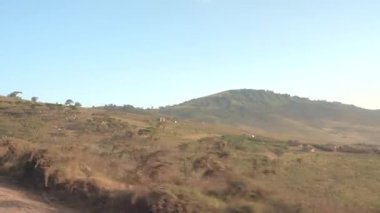 Safari jeep oyunu turistlerin büyüleyici küçük Massai köyü tepenin yamacında geçmiş tozlu dağ yolda sürüş. Güzel geleneksel evler çamur ve çimen yeşil büyümüş dağlarla çevrili