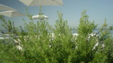 Ağır çekim, Close Up: boş plaj havuzu club ile süslü beyaz daybeds ve şemsiye pahalı Lüks Otel Tatil güneşli yaz gününde çarpıcı. Sonsuza kenar havuz bakan mavi sonsuz bir okyanus