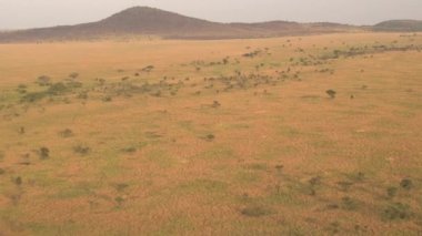 Hava: yüksek çarpıcı Afrika vahşi yukarıda, sonsuz savannah otlak Serengeti ovaları, Kuru açık akasya orman, büyük kısa çim alanlar ve büyümüş dağlar uçan altın ışık günbatımında