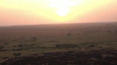 Hava: dramatik sonsuz savannah otlak manzara muhteşem Serengeti ovaları altın gün ışığına parlayan yukarıda uçan. Küçük sarma brook ve vahşi çalışan tozlu safari yol