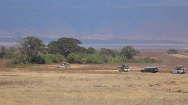 Close Up: Pitoresk kurak savana turistik oyun sürücü Safari jeeps. Ngorongoro koruma alanı yaban hayatı rezerv yeşil Adansonia baobab ağaçları ormanlık vaha ile Düz otlak alanı