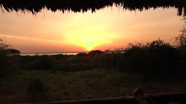 Motion Lent Fermer Jeune Fille Relaxant Après Passionnant Safari Sur — Video