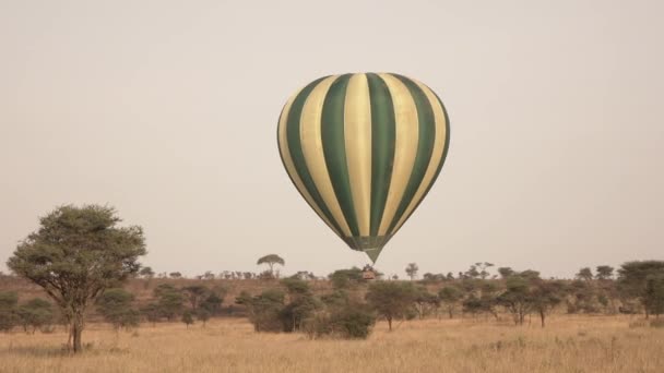 Cerrar Los Turistas Felices Comienzan Viaje Aventurero Con Safari Globo — Vídeo de stock