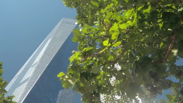 クローズ アップ 低視野角 Supertall の本館は 青い空を背景に複雑な世界貿易センターを再構築 ロウアー マンハッタン ダウンタウンのビジネス地区に位置し 晴れた日にニューヨーク市の有名なフリーダム — ストック動画