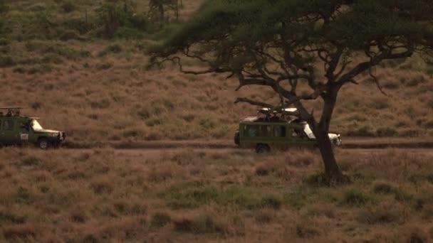 野生动物园吉普车站在线游戏驾驶游客通过非洲稀树草原林地 人们在日出时拍摄郁郁葱葱的棕榈树和令人惊异的相思树的照片 — 图库视频影像