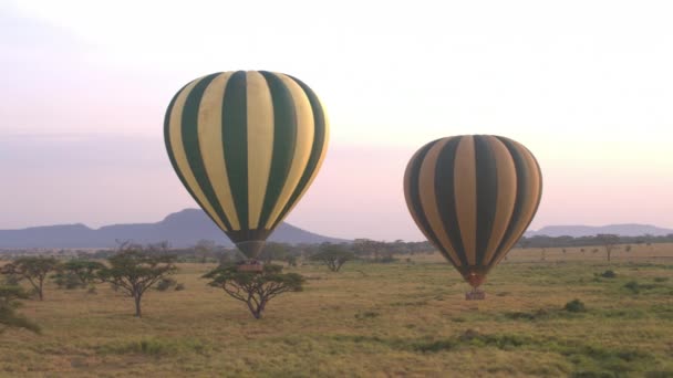 Anténa Close Piloti Řízení Safari Horkovzdušné Balónky Plné Vzrušení Turistů — Stock video