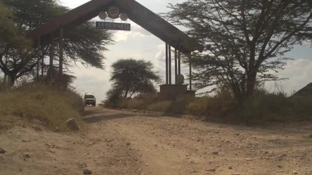 Serengeti Tansania Juni 2016 Geländesafari Jeep Startet Einer Pirschfahrt Und — Stockvideo