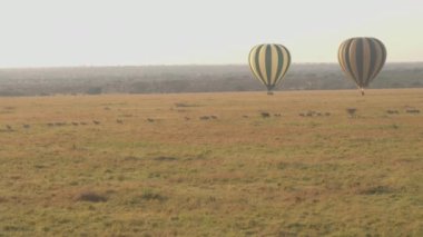 Anteni: sıcak hava balon safari Serengeti, Afrika vahşi Plains'de güzel savana yukarıda yüzen turistler. Vahşi zebralar sırada yere güzel altın ışık güneşli sabah saat yürüyüş.