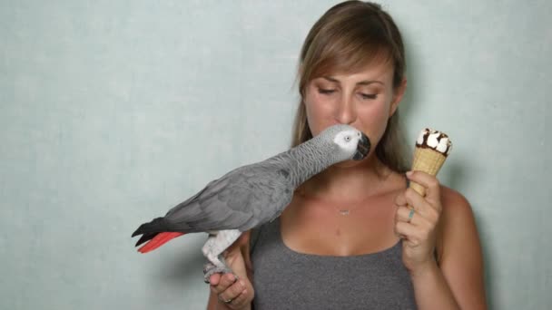 Слоу Майон Close Красивый Африканский Серый Попугай Привлекательная Молодая Женщина — стоковое видео