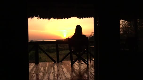 Fermer Jeune Fille Relaxante Après Passionnant Safari Assise Sur Une — Video