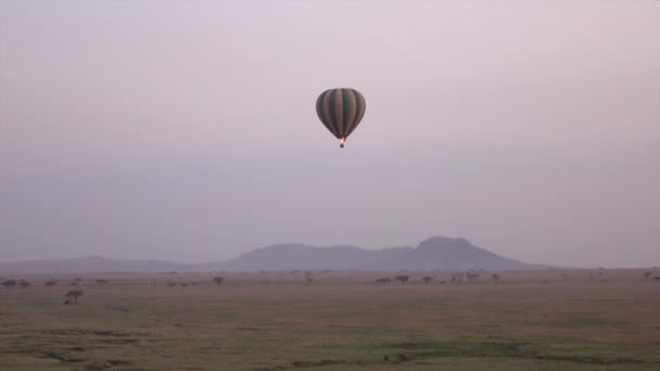 Aerial Low Angle View Safari Hot Air Balloon Flying Beautiful — Stock Video