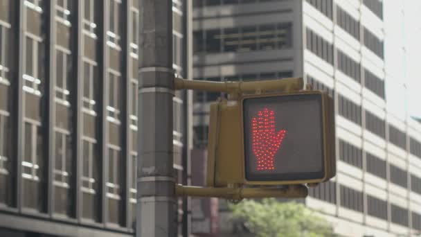 Close Yellow Metal Led Pedestrian Crossing Light Fixed Traffic Lights — Stock Video