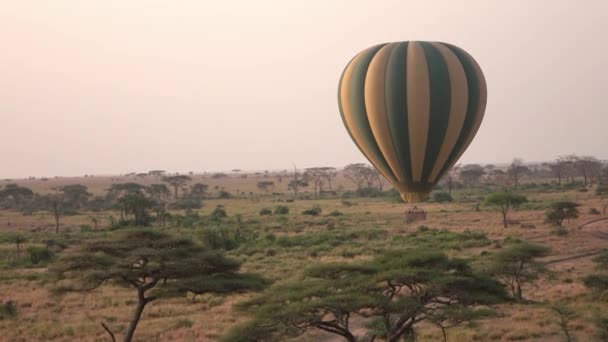 Close Excited Tourists Safari Hot Air Balloon Finished Magical Ride — Stock Video